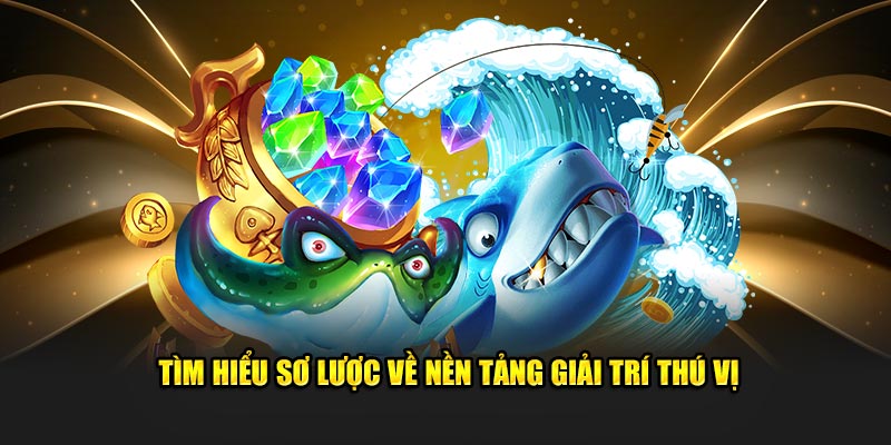 Tìm hiểu sơ lược về nền tảng giải trí thú vị