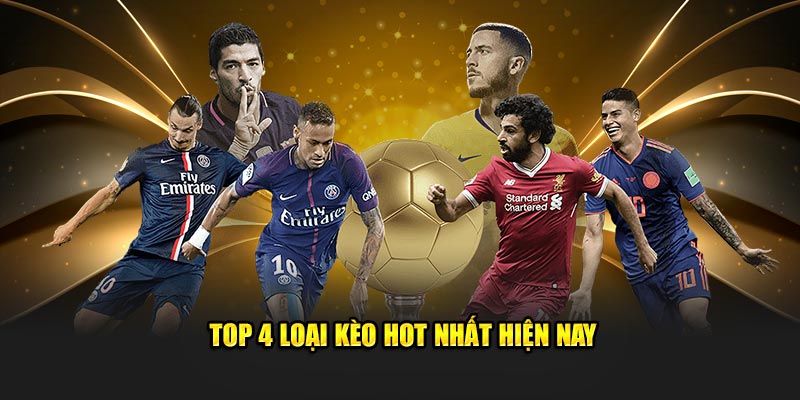 Top 4 loại hot nhất hiện nay