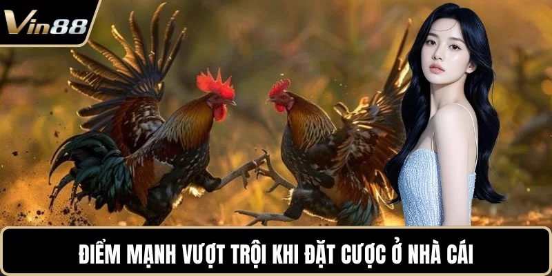 Điểm mạnh vượt trội khi đặt cược ở nhà cái Điểm mạnh vượt trội khi đặt cược ở nhà cái