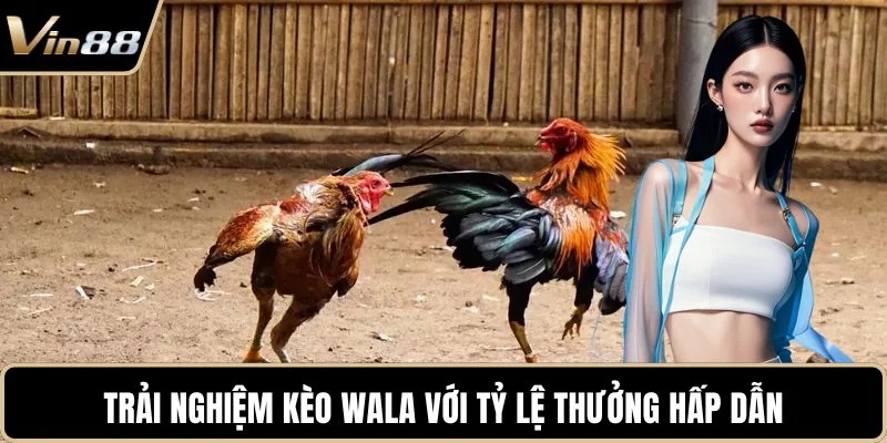 Trải nghiệm kèo Wala với tỷ lệ thưởng hấp dẫn Trải nghiệm kèo Wala với tỷ lệ thưởng hấp dẫn